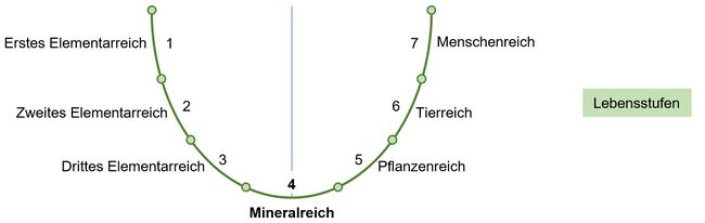 Die sieben Lebensstufen